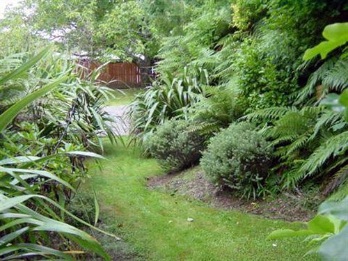 Turangi Trout Lodge Esterno foto
